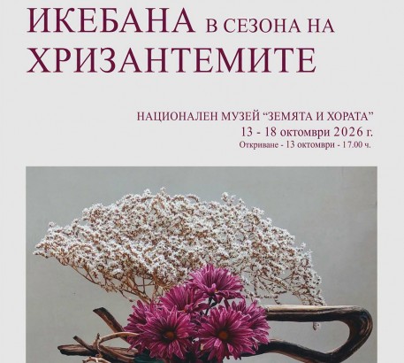 hrizantemi.jpg